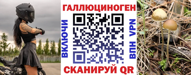 Галлюциногенные грибы мицелий  KRAKEN как войти  Светлогорск 